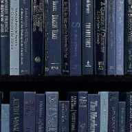 Photo du profil de l'utilisateur